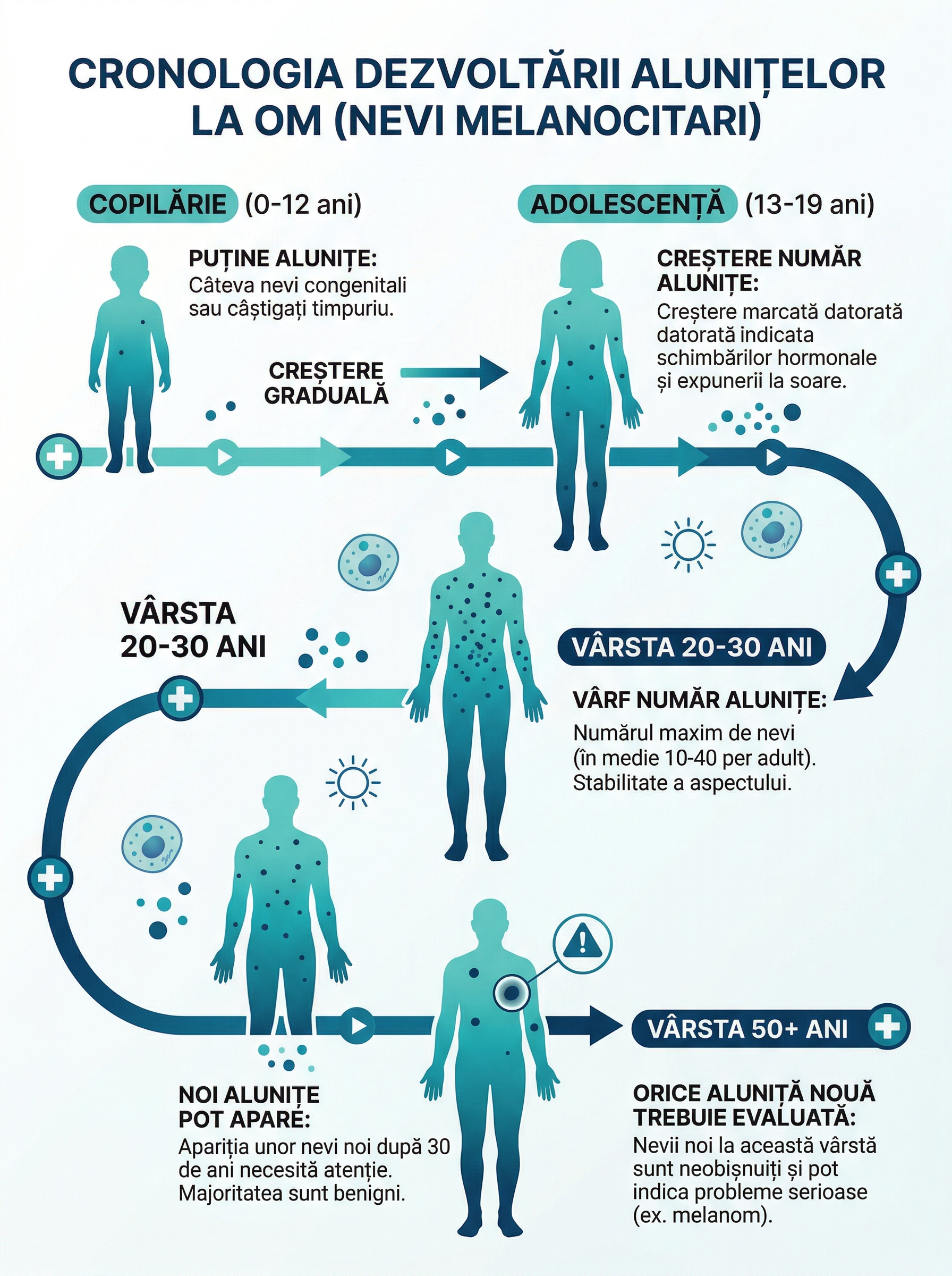 Infografic medical cu evolutia numarului de alunițe de-a lungul vietii: de la copilarie la maturitate